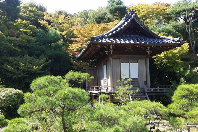 Kyoto : Immersive Arashiyama and Fushimi Inari by Private Vehicle - Experienced Guides