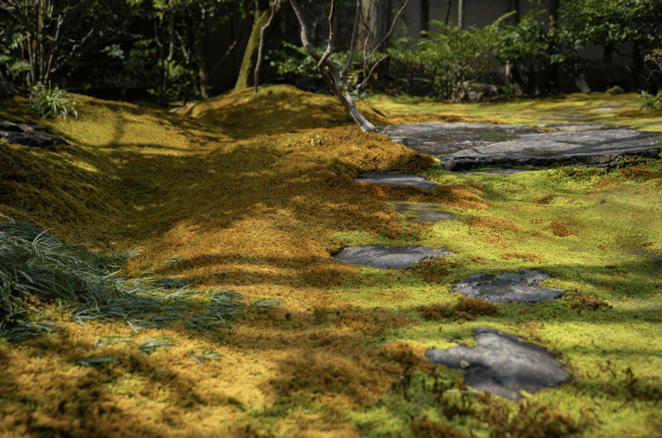 Kyoto: Zen Meditation at a Private Temple With a Monk - Recap