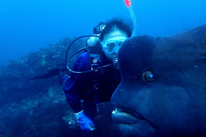 Lets Enjoy Scuba Diving in Izu Oceanic Park Izu Peninsula for Certificate Diver - Directions and Meeting Point