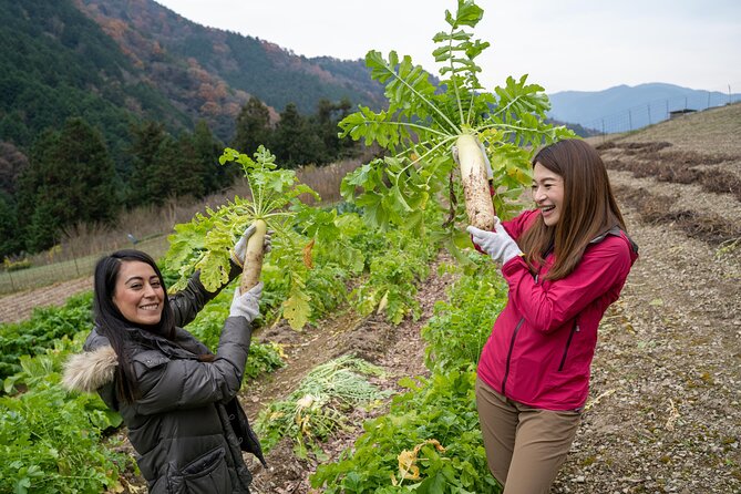 Lodging Plans With Gibier Cuisine / Tokushima, Shikoku - Pricing and Reservation Details