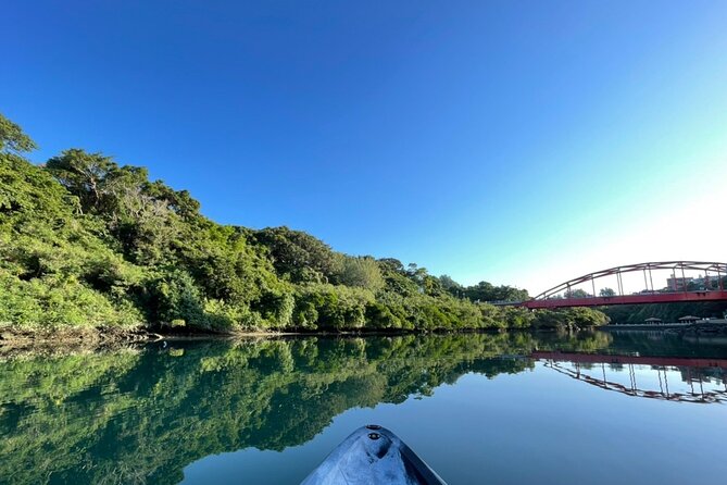 Mangrove SUP in Okinawa - Recap