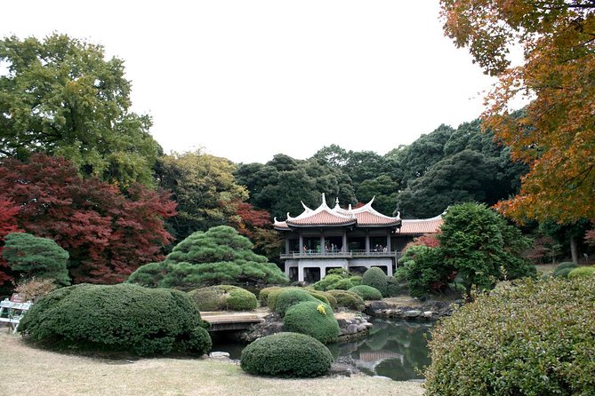 Meiji Jingu Shrine Half-Day Tour by Public Transportation - Pricing Details