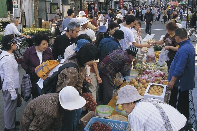 Morioka Half-Day Private Tour With Government-Licensed Guide - Additional Services and Information