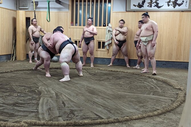 Morning Sumo Practice Viewing in Tokyo - Directions