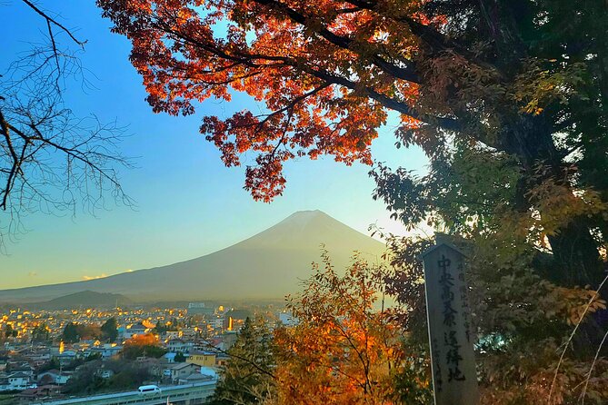 Mount Fuji and Hakone Full Day Private Sightseeing Tour - Itinerary