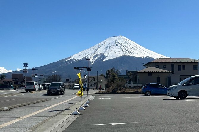 Mount Fuji Full Day Private Tour - Reviews