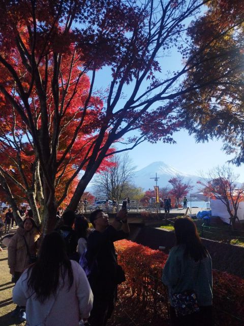 Mount Fuji-Lake Kawaguchi Private Tour With Bilingual Driver - Testimonial