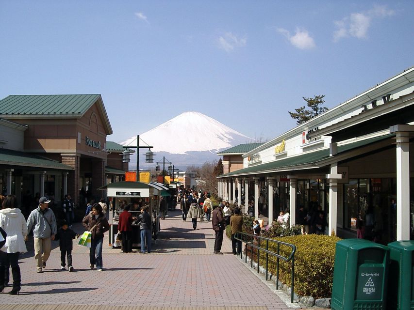 Mount Fuji Panoramic View & Shopping Day Tour - Customer Reviews