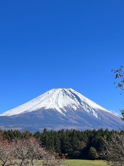 Mt. Fuji: 2-Day Climbing Tour - Inclusions in the Tour Package