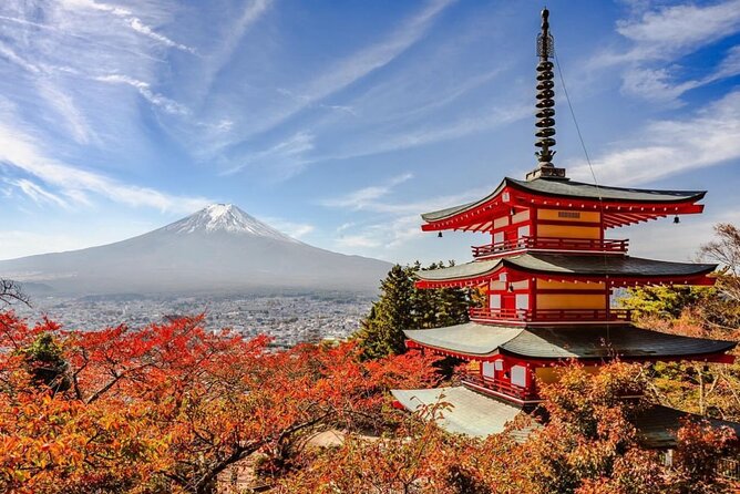 Mt Fuji and Hakone Private Day Tour With English Speaking Driver - Weather-Dependent Experience