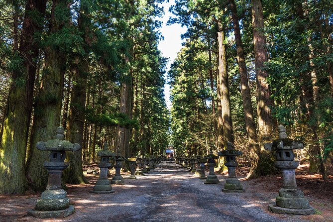 Mt.Fuji and Hakone Tour - Host Responses