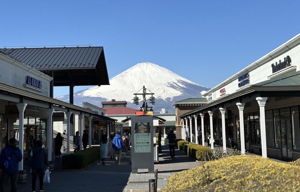Mt. Fuji Area One Day Private Tour From Tokyo - Important Information