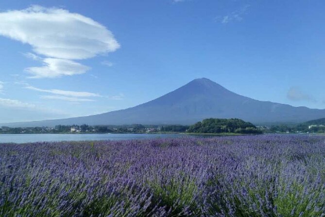 Mt.Fuji Day Tour From Tokyo With Chinese and English Service - Price and Cancellation Policy