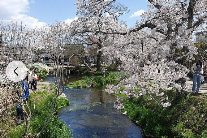 Mt. Fuji, Hakone Full-Day Private Tour With English Driver Guide - Recommendations for Improvement