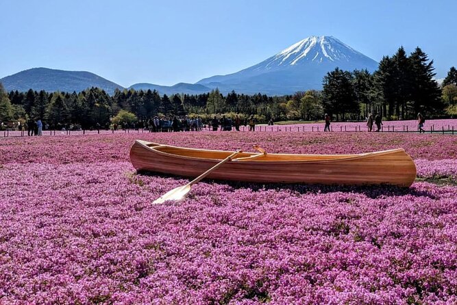 Mt Fuji, Hakone Private Tour by Car With Pickup - Tour Guide Experience