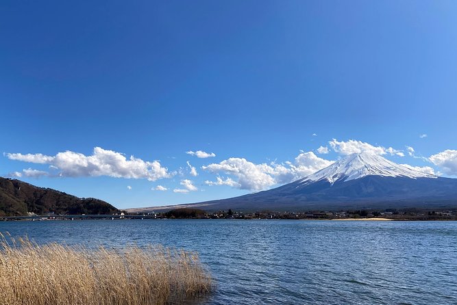 Mt Fuji Half-Day Tour By Car - Customer Reviews