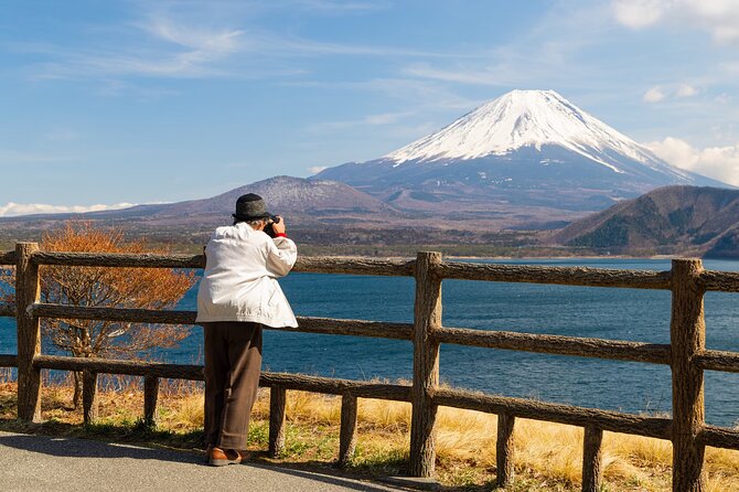 Mt Fuji Private Trip With English Speaking Driver - Accessibility Details