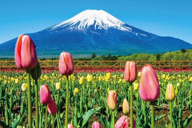 Mt. Fuji Roundtrip Tours From Shinjuku, Japan - Frequently Asked Questions