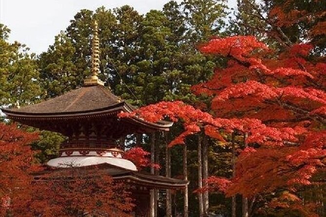 Mt Koya 1 Day Walking Tour From Osaka - Recap