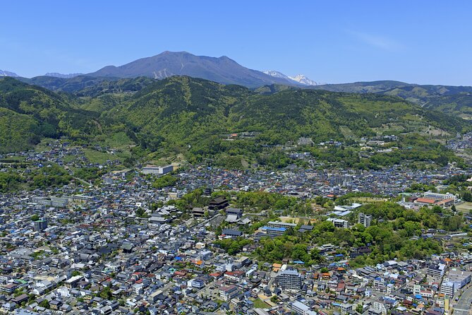 Nagano All Must-Sees Half Day Private Tour With Government-Licensed Guide - Customizable Itinerary