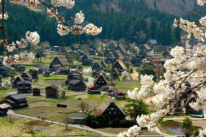 Nagoya to Takayama & Shirakawa World Heritage English Guide - Scenic Beauty