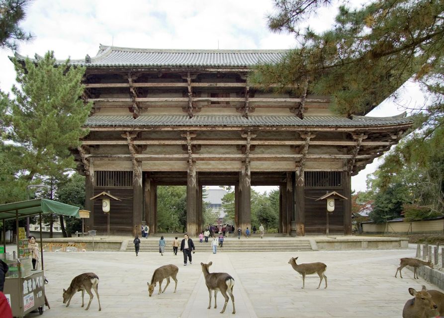 Nara: Audio Guide Delve Into Todai-Ji & Kasuga Taisha - Audio Guide Inclusions