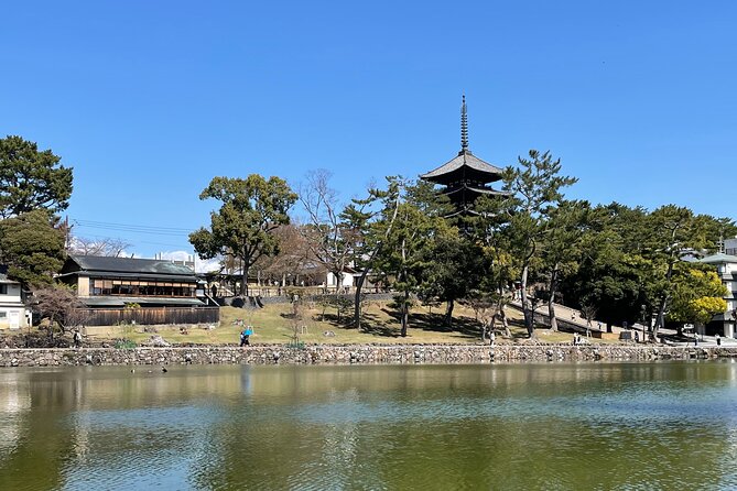 Nara Best Spots Private Tour With Licensed Guide (6h/8h) - Booking Tips