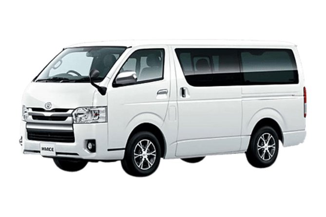 NARA Custom Tour With Private Car and Driver (Max 9 Pax) - Accessibility Information