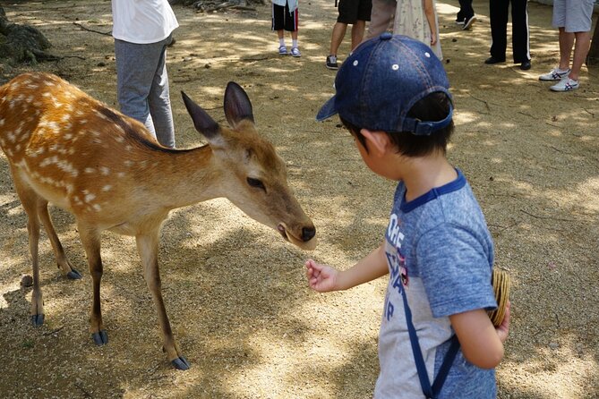 Nara Half Day Bus Tour From Kyoto - Booking Information