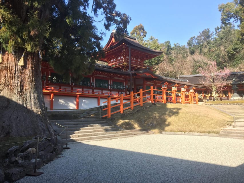 Nara: Half-Day Private Guided Tour - Booking