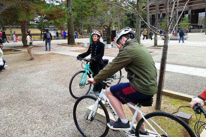 Nara - Private Family Bike Tour - Price and Availability