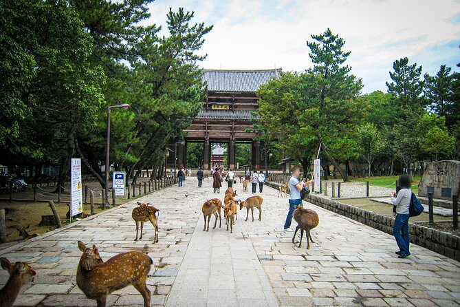 Nara World Heritage Private Tour - Additional Information