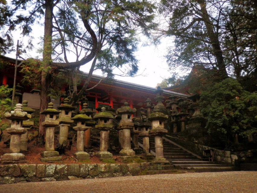 Nara's Historical Wonders: A Journey Through Time and Nature - Kofuku-ji Temple Visit