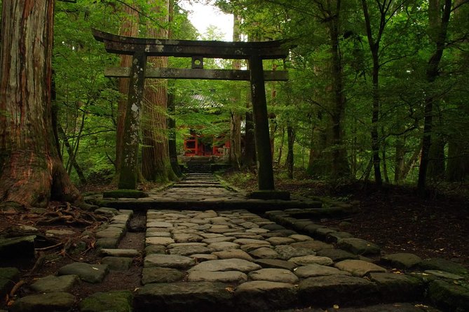 Nikko Custom Half Day Tour - Price and Arrival Information