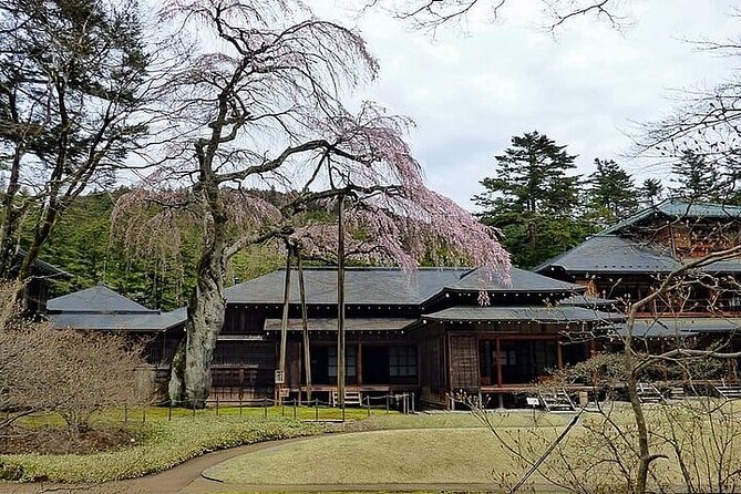 Nikko Private Day Trip With English Speaking Driver - Accessibility Information