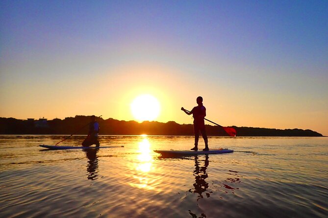 [Okinawa Iriomote] Sunrise SUP/Canoe Tour in Iriomote Island - Important Notes and Cancellation Policy