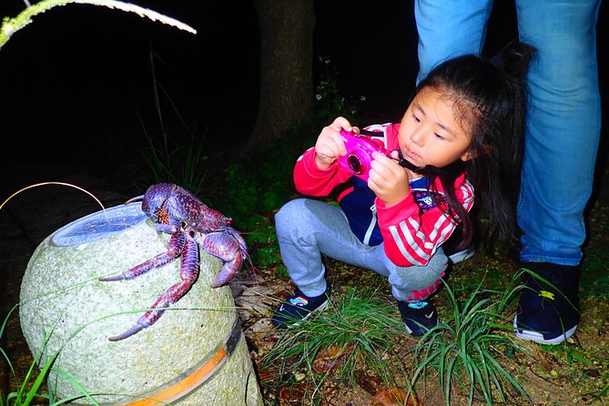 [Okinawa Miyako] Natural Planetarium! Starry Sky & Subtropical Jungle Night Tour - Frequently Asked Questions