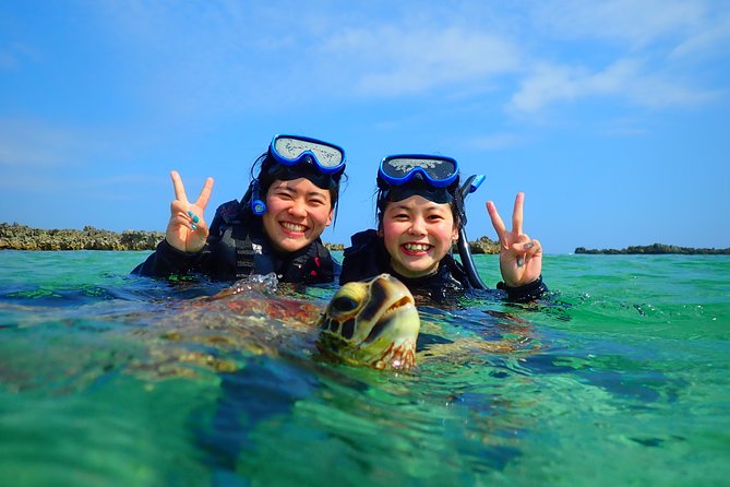 [Okinawa Miyako] Swim in the Shining Sea! Sea Turtle Snorkeling - Customer Reviews Highlights