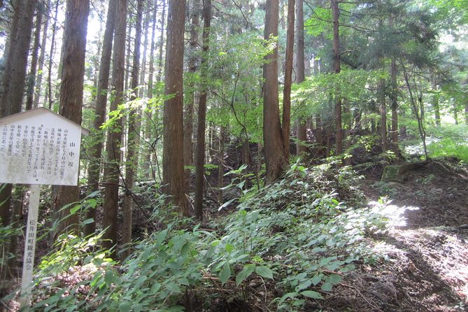 Old Nakasendo Trekking From Karuizawa-Beyond Sugahi Pass to Sakamoto Hotel- - Background Information