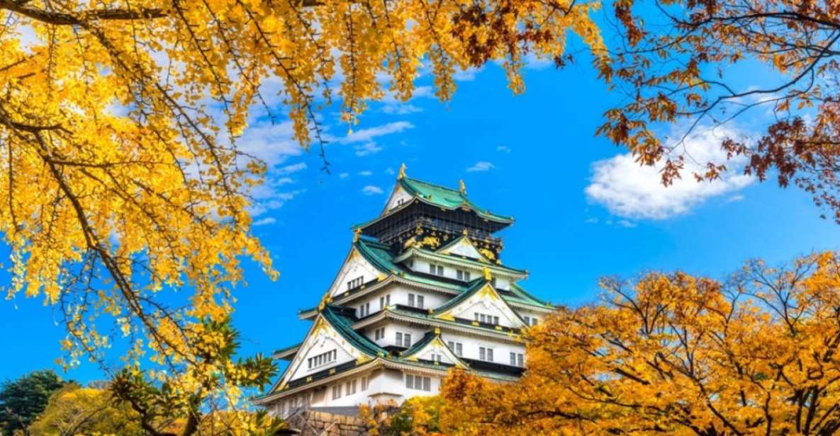 Osaka: 10-Hour Customizable Tour With Private Car - Booking