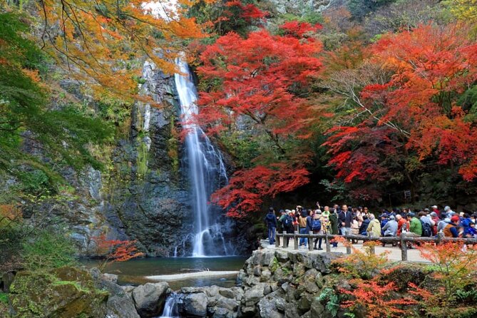 Osaka Nature Walking Tour - Minoh Hidden Beauty - Recap