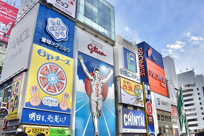 Osaka Otaku Tour - Price and Booking Information