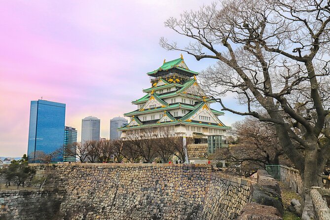 Perfect 4 Day Sightseeing in Japan - English Speaking Chauffeur - Tour Pricing and Inclusions