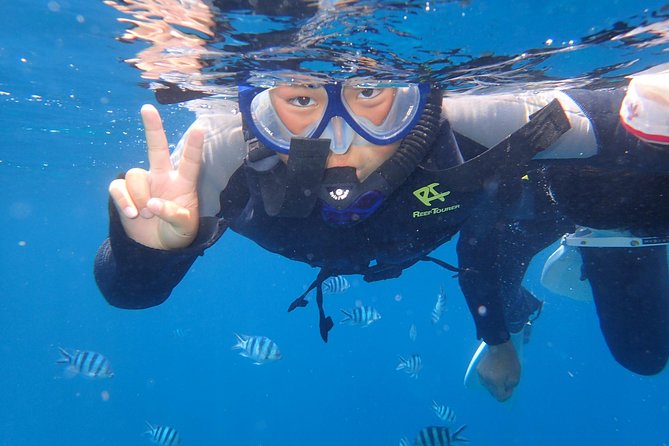 Popular Blue Cave Snorkel! [Okinawa Prefecture] Feeding & Photo Image Free! English, Chinese Guide Available! - Directions