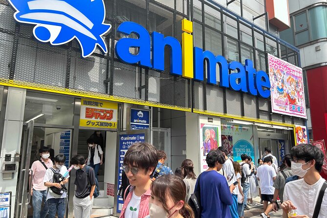 Private Akihabara Anime Guided Walking Tour - Reviews and Additional Information