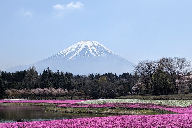 Private Car Mt Fuji and Gotemba Outlet in One Day From Tokyo - Additional Information