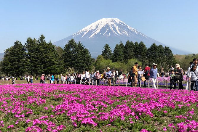 Private Fuji Exploration With Photography ENGLISH SPEAKING - Booking and Pricing