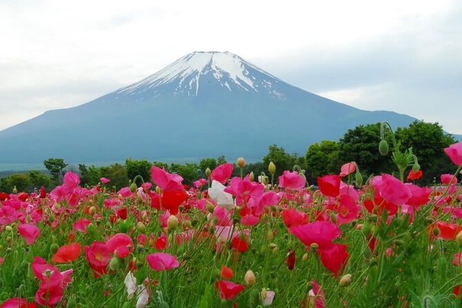 Private Full-Day Guided Tour in Mount Fuji Lakes - Additional Info & Cancellation Policy