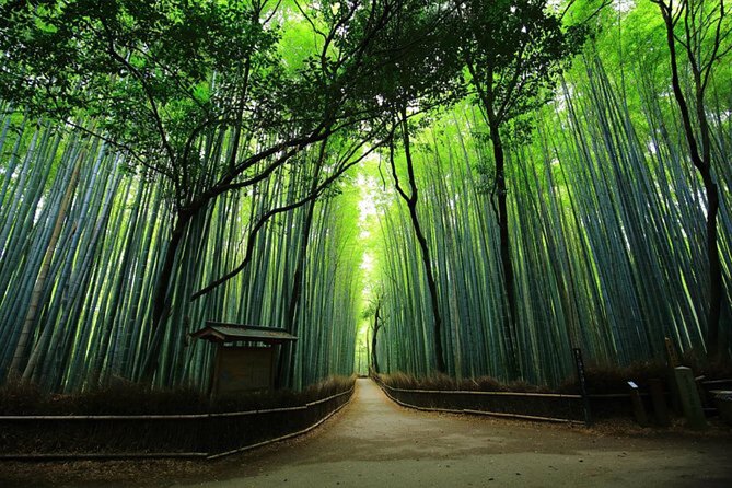 Private Kyoto Tour With Hotel Pickup and Drop off From Osaka - Pricing and Guarantee