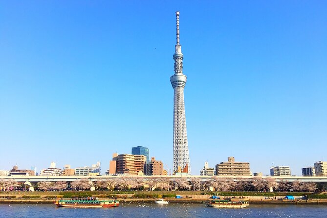 Private One Day Tour in Tokyo With Limousine and Driver - Pricing and Guarantee